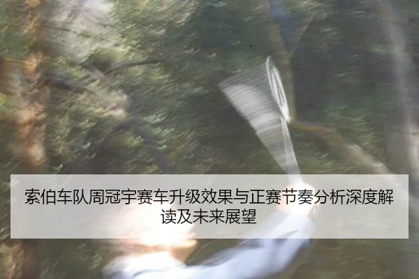 suo-bo-che-dui-zhou-guan-yu-sai-che-sheng-ji-xiao-guo-yu-zheng-sai-jie-zou-fen-xi-shen-du-jie-du-ji-wei-lai-zhan-wang-2-885.jpg